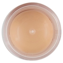 Maybelline New York Lifter Stix 05 6 g